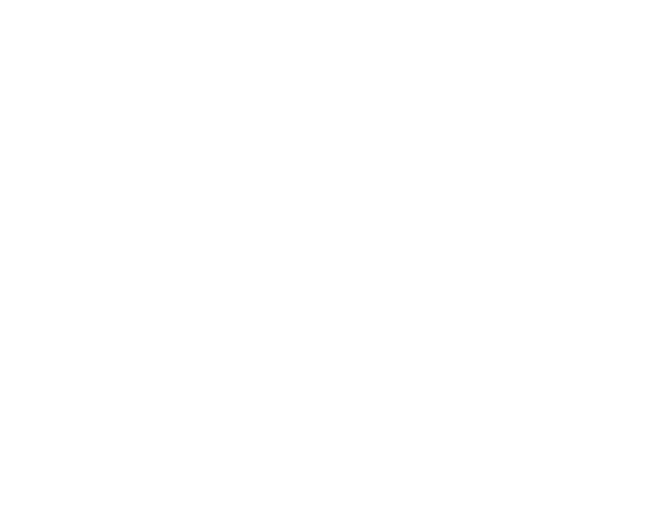 Arts & Culture 
