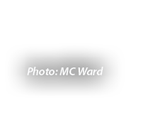 Photo: MC Ward