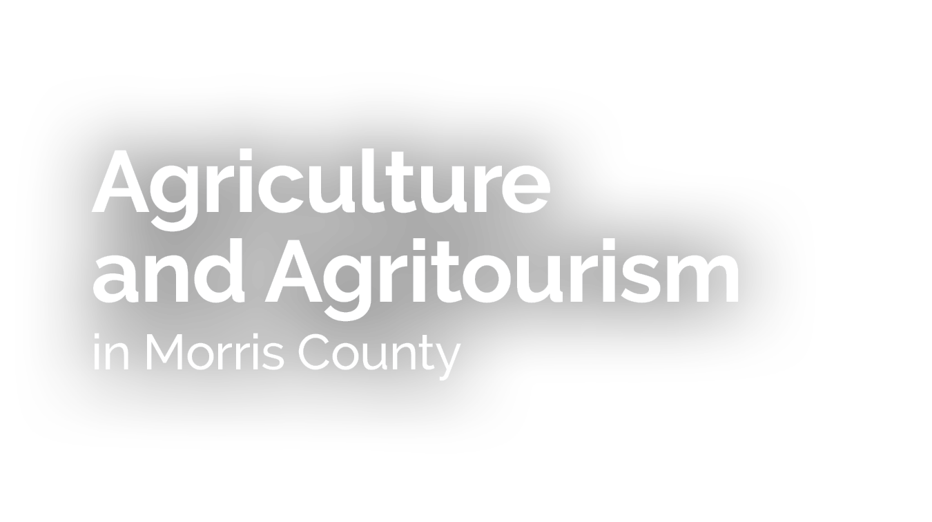 Agriculture and Agritourism in Morris County 