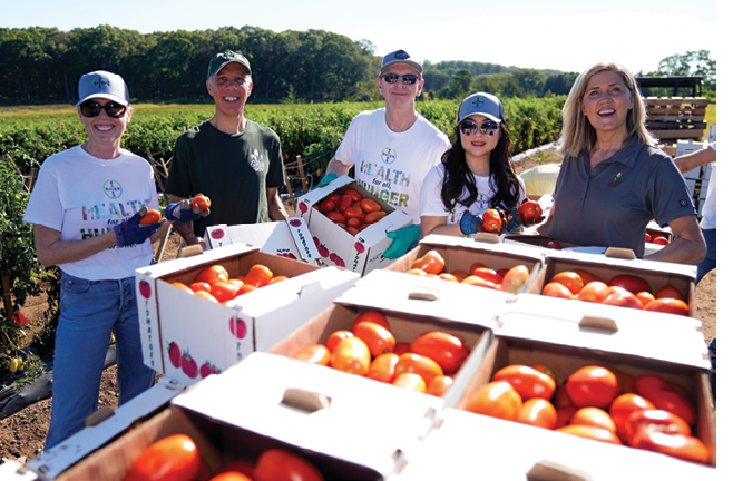 Lisa Perez, from left, Chip Paillex, Michael Sullivan, Maria Givens and Jackie Etter celebrate a partnership with Bayer and America’s Grow-a-Row to harvest 90,000 servings of farm fresh tomatoes, on Thursday, Sept. 18, 2025 in Pittstown, N.J.  (Charles Sykes/AP Content Services for Bayer)