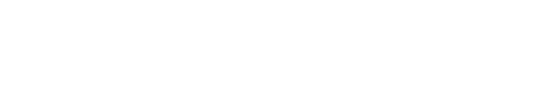 TRACKING AND INFLUENCING THE AFFAIRS OF GOVERNMENT