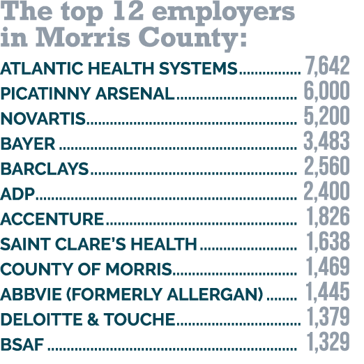 The top 12 employers in Morris County: Atlantic Health Systems 7,642 Picatinny Arsenal 6,000 Novartis 5,200 Bayer 3,4   