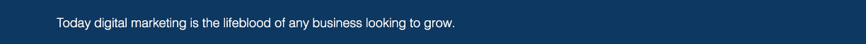Today digital marketing is the lifeblood of any business looking to grow 