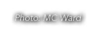 Photo: MC Ward