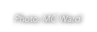 Photo: MC Ward