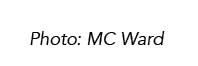 Photo: MC Ward