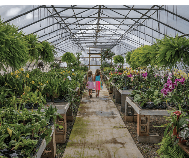 An interior image of two girls walking in the Stony Hill Farm Greenhouse.