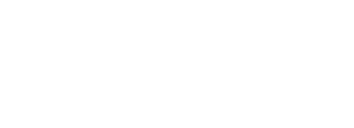 Embracing a Rich History, 