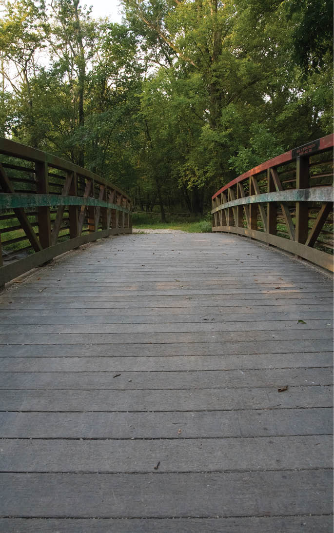 A wooden bridge with a green railing. Description generated by AI
