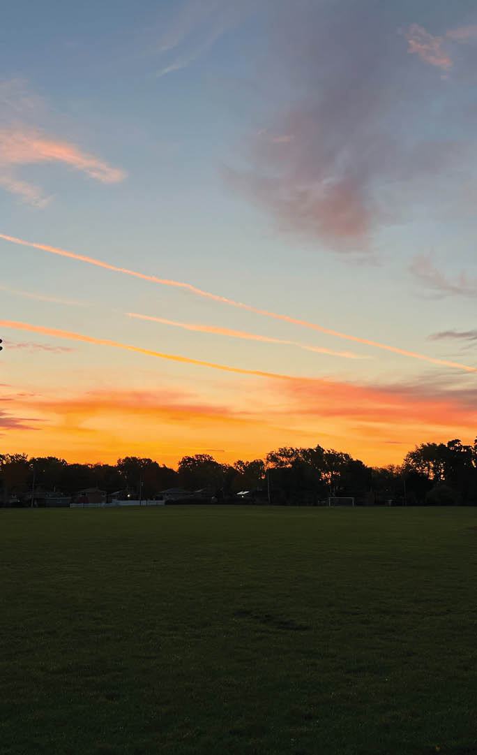 A field of green grass with a sunset in the background. Description generated by AI