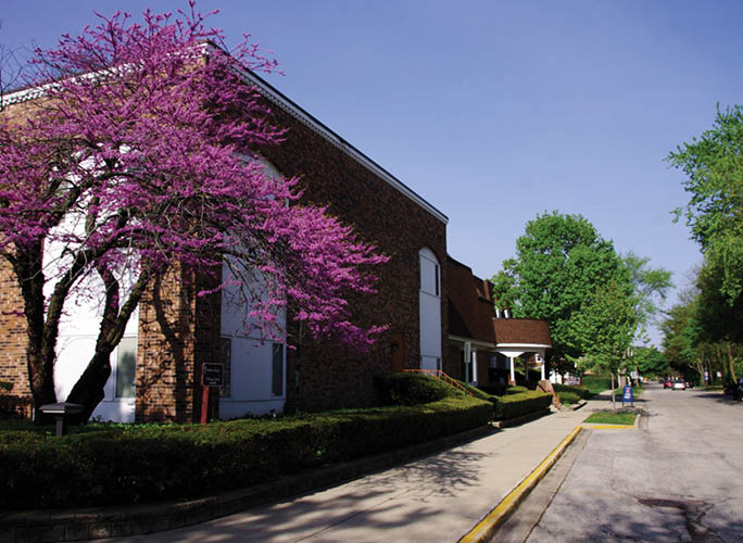 A purple tree in front of a brick building. Description generated by AI