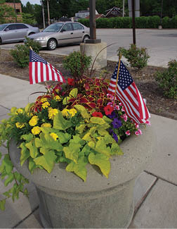 American Flags and potted flowers