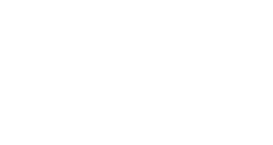 chamber overview