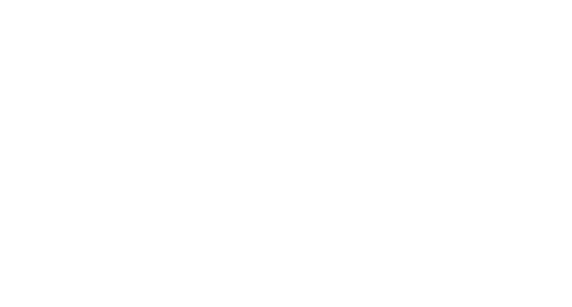 Chamber Overview