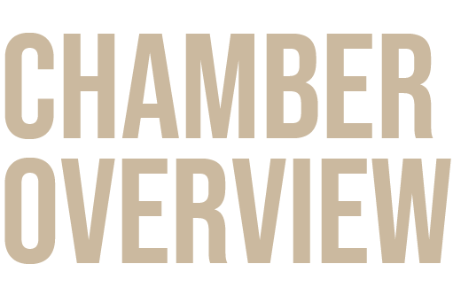 chamber overview