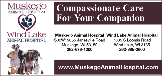 Rectangle