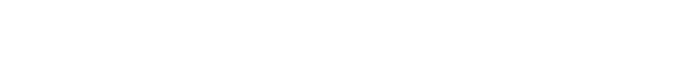PARTNER SPONSORS