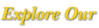 Explore Our
