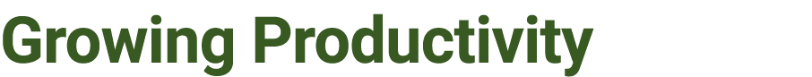 Growing Productivity