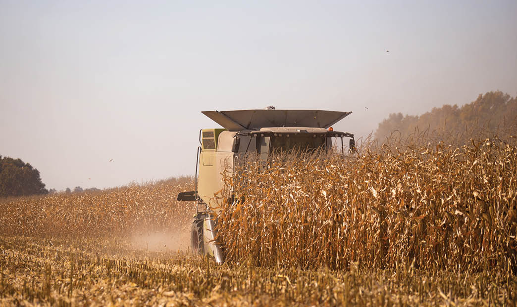 The theme is agriculture. A modern combine harvester in the field performs grain harvesting on a sunny day against a blue sky. Farm and automation using machines
