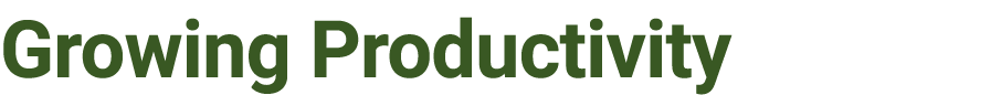 Growing Productivity