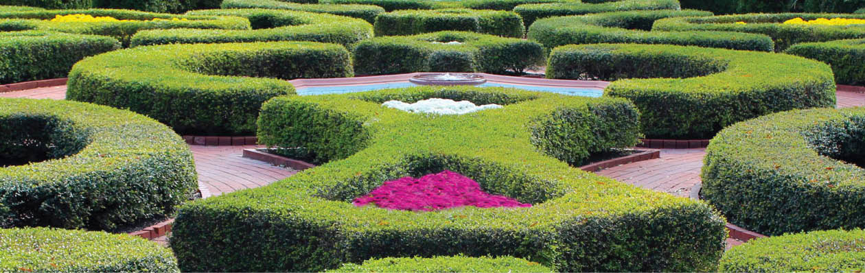 Gorgeous photo of a geometrically shaped garden in New Bern North Carolina. The gardens were in the backyard of a historic castle.