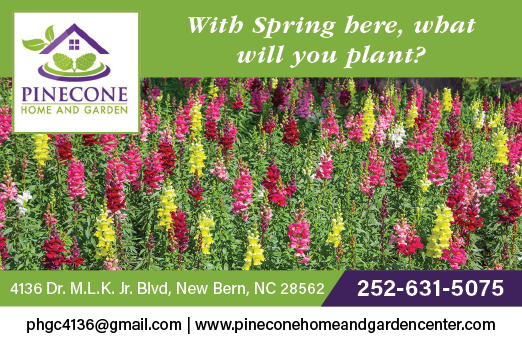 A colorful garden with a sign that says “With Spring, What Will You Plant?" Description generated by AI