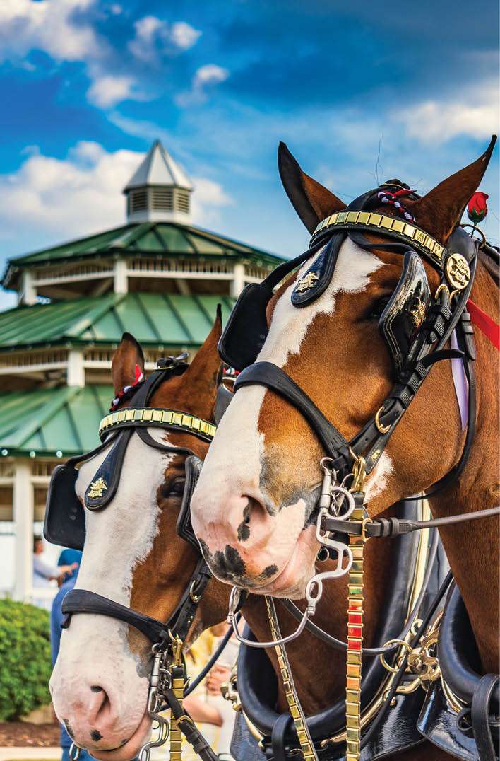 Two horses with white faces and brown bodies. Description generated by AI