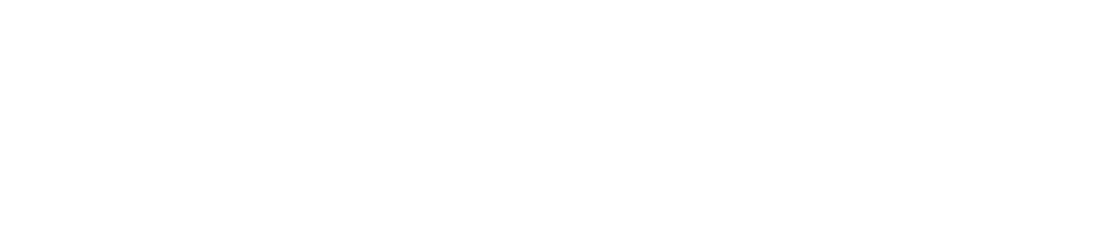 Insight
