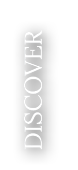 Discover