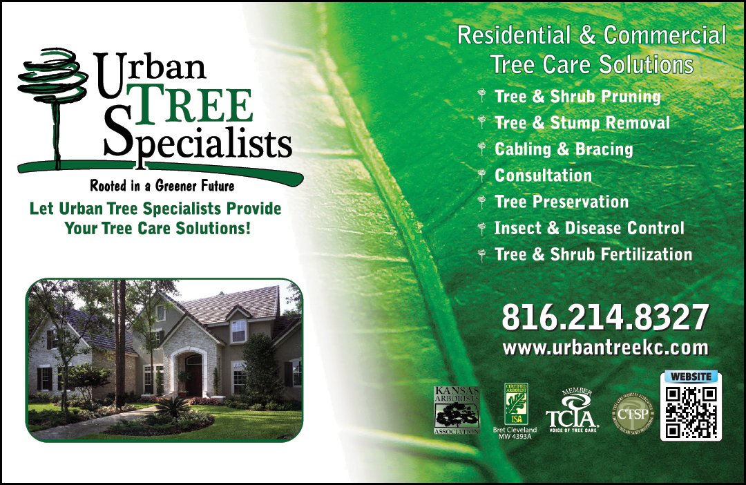 A green and white advertisement for Urban Tree Specialists. AI generated content