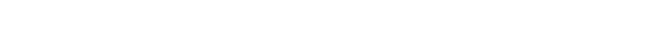 About the team