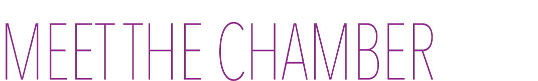 Meet the Chamber