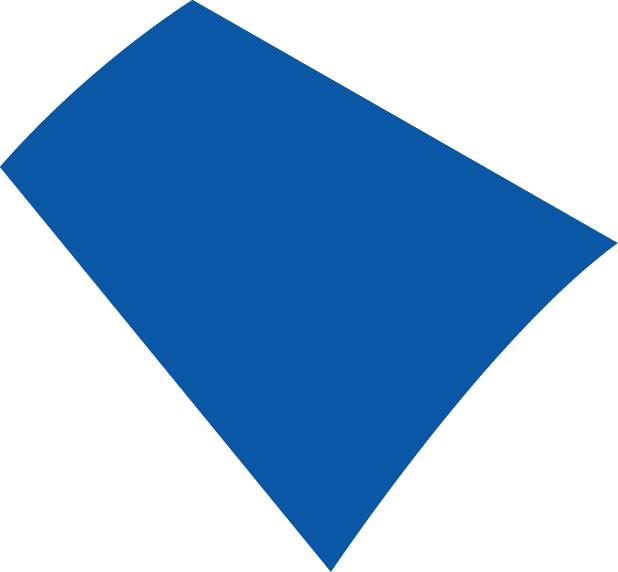 Polygon