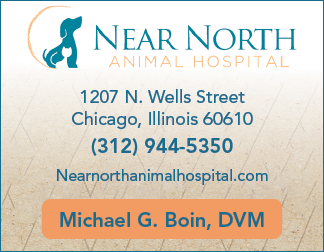 A card for a veterinarian. Description generated by AI