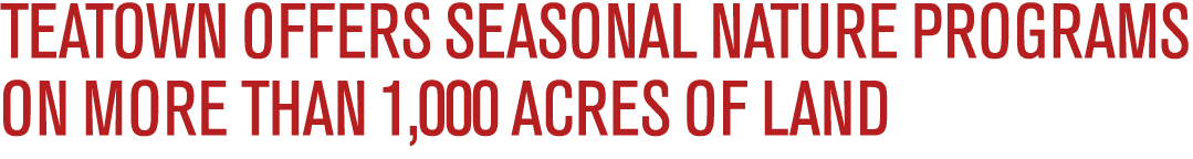 Teatown offers seasonal nature programs on more than 1,000 acres of land