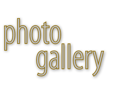 photo gallery