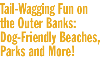 Tail Wagging Fun on the Outer Banks: Dog Friendly Beaches, Parks and More!