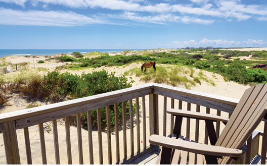 1551 Sandpiper