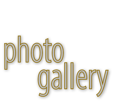 photo gallery
