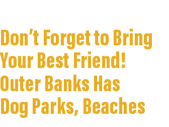 Don’t Forget to Bring Your Best Friend! Outer Banks Has Dog Parks, Beaches