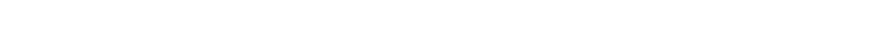 EXECUTIVE COMMITTEE 