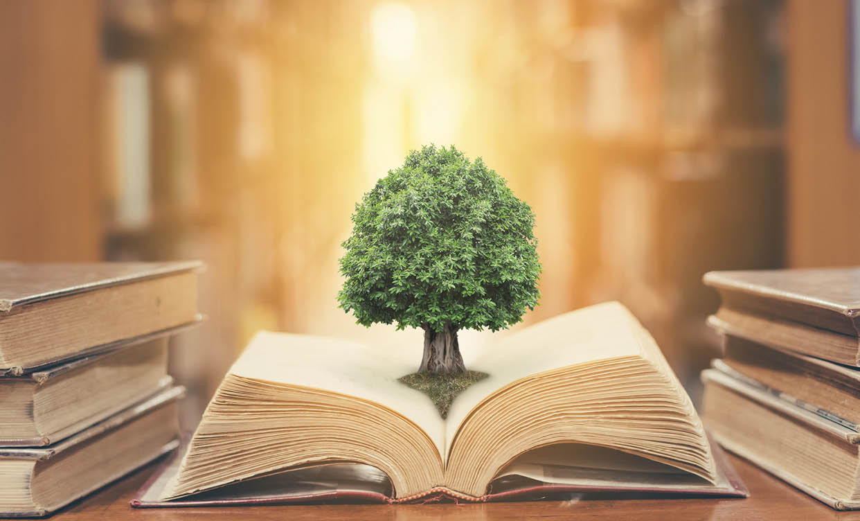 World philosophy day concept with tree of knowledge planting on opening old big book in library full with textbook, stack piles of text archive and blur aisle of bookshelves in school study class room