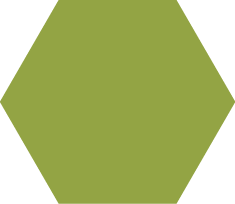 Polygon