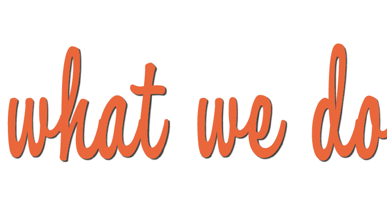 what we do
