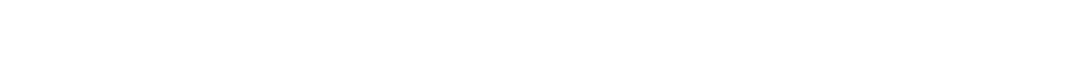 BRONZE LEVEL