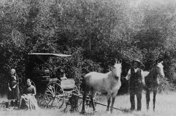 A man and woman are standing next to a horse and a wagon. Description generated by AI