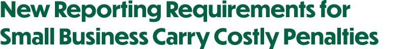 New Reporting Requirements for Small Business Carry Costly Penalties