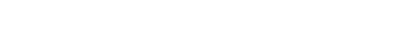 LEADERSHIP PROJECTS
