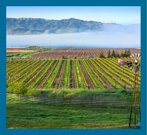 The Petaluma Gap 